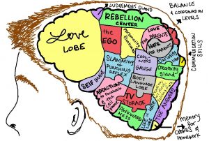 learning for adolescent brains